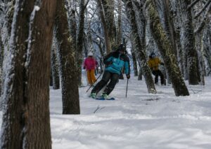 Cerro Bayo, centro de Esquí y snowboard