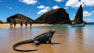 Iguana en Islas Galápagos
