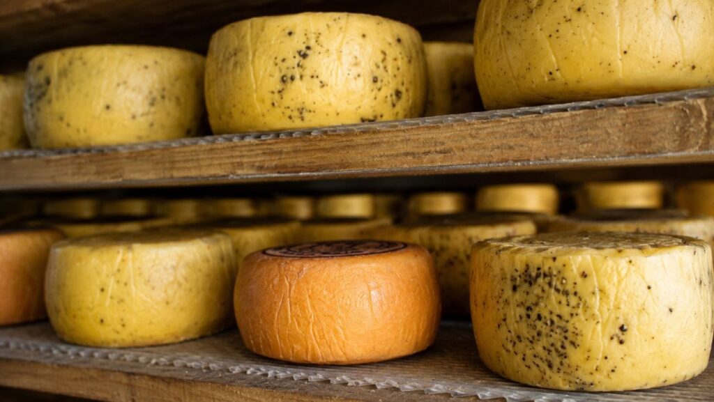 Queso de Tafí del Valle, en la provincia de Tucumán
