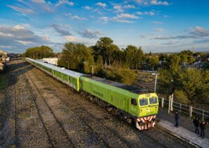 Tren Patagónico, Viedma - Bariloche