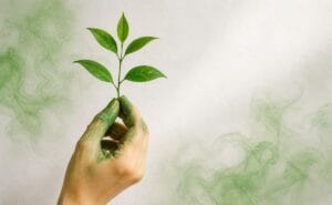 GreenWashing, la mentira del turismo sostenible en Europa