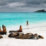 Isla Lobos, Galápagos, Ecuador