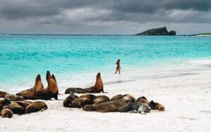 Isla Lobos, Galápagos, Ecuador