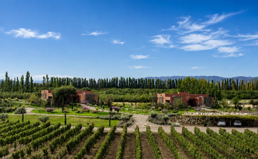Alojamientos en Bodegas