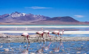 Laguna Brava, La Rioja