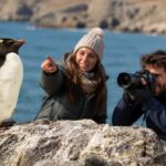 Isla Pingüino: La Colonia de Aves Más Accesible del Sur Argentino Abre su Temporada 2026