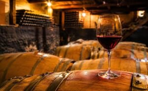 Vino Pinot Noir en Neuquén, Bodega