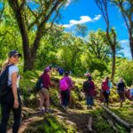 San Francisco, Jujuy, trekking en las yungas