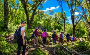 San Francisco, Jujuy, trekking en las yungas