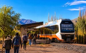 Tren Solar de la Quebrada, Tren del Vino, Jujuy