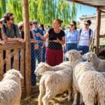 De la chacra a la mesa: el agroturismo que está transformando la Confluencia neuquina en un destino para sentir con las manos