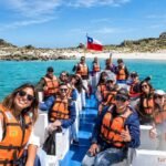 Antes de que llegue el verano: 3 pueblos de la costa chilena con pingüinos, olas gigantes y playas de postal para dejar reservados